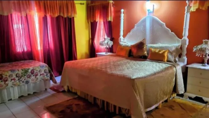 Pink Hibiscus Bed And Breakfast Montego Bay