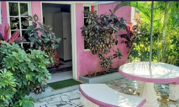 Pink Hibiscus Bed And Breakfast Montego Bay Jamaica