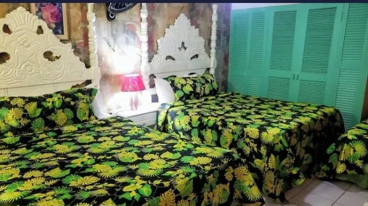 Pink Hibiscus Bed And Breakfast Montego Bay Jamaica