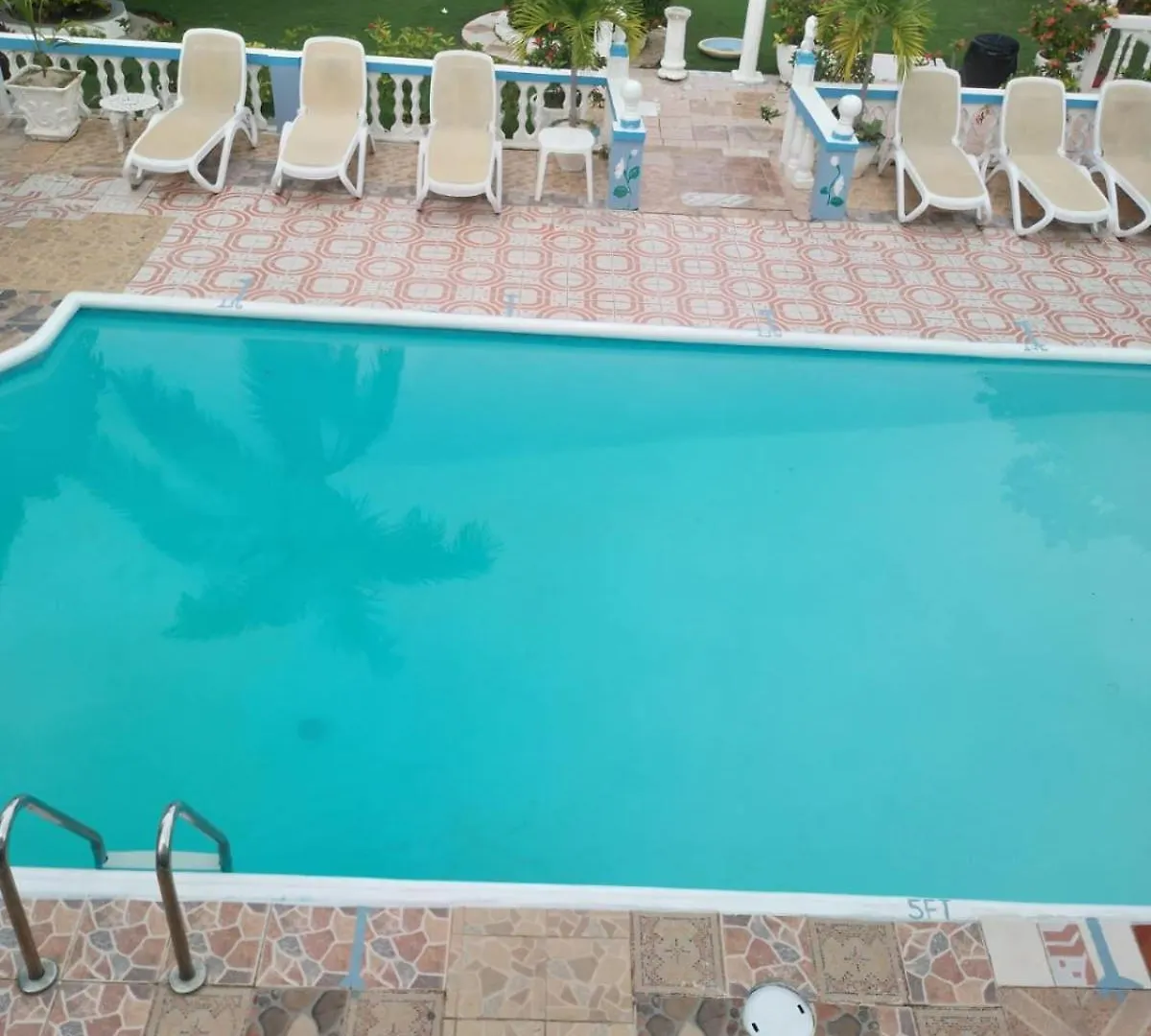 Pink Hibiscus Bed And Breakfast Montego Bay Villa