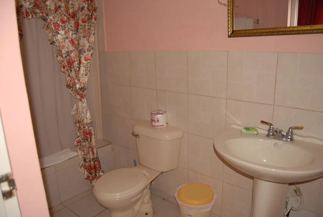 Pink Hibiscus Bed And Breakfast Montego Bay