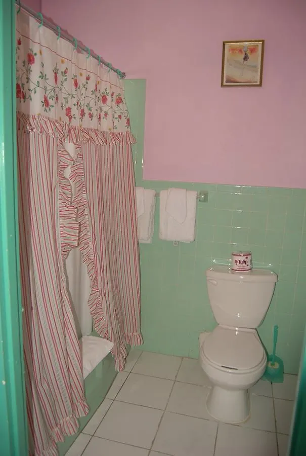 Pink Hibiscus Bed And Breakfast Montego Bay Jamaica