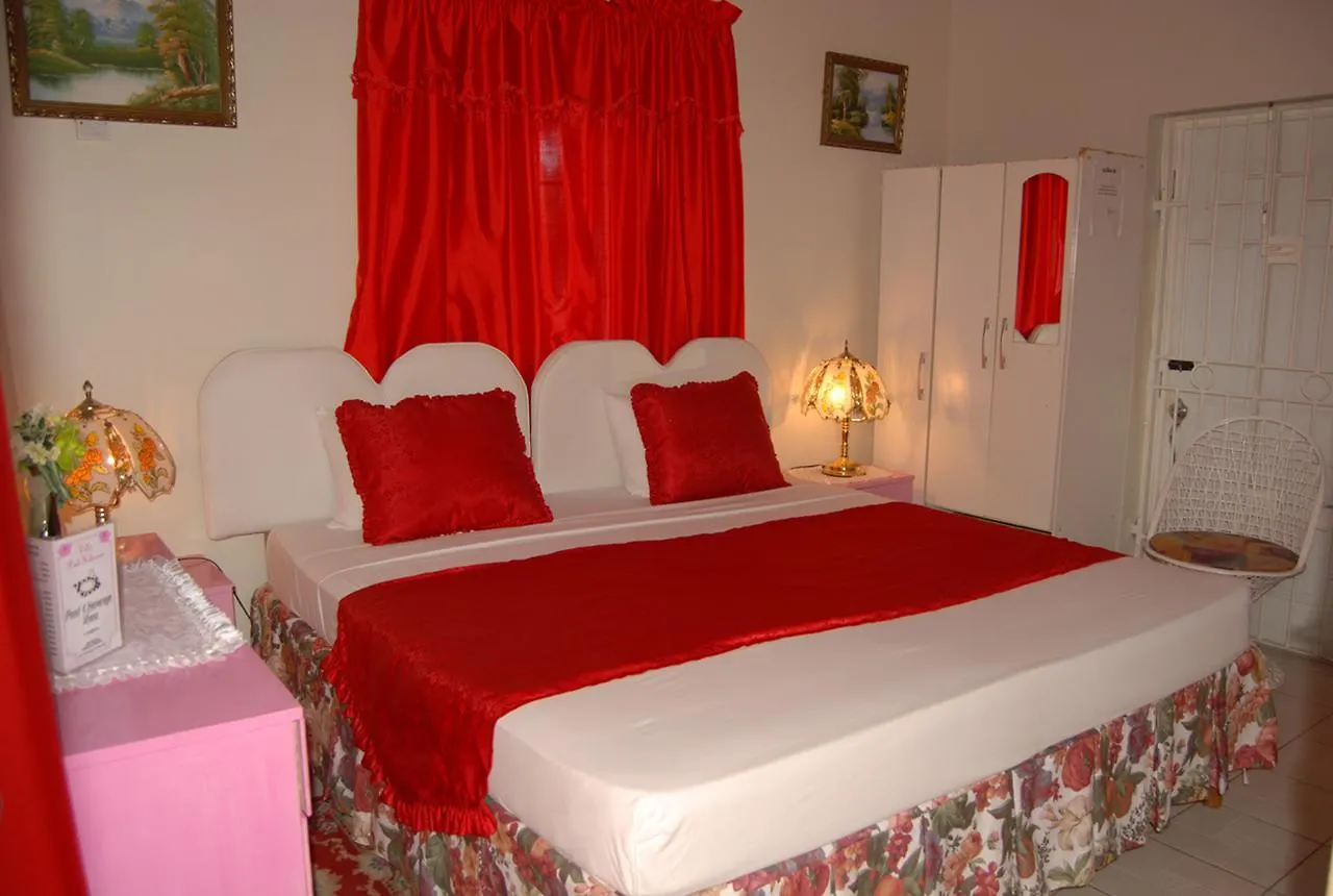 Villa Pink Hibiscus Bed And Breakfast Montego Bay Jamaica